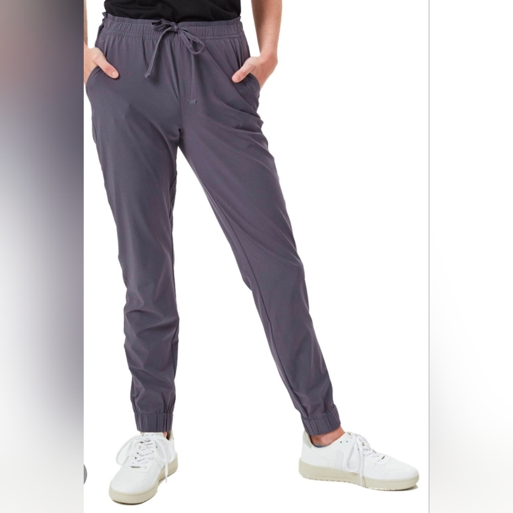 Tentree Pacific Gray/Blue Jogger